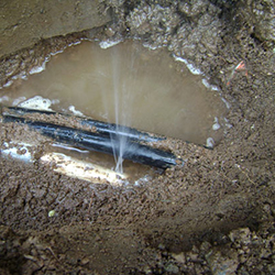 Leaks and Clogs