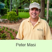 Peter Masi
