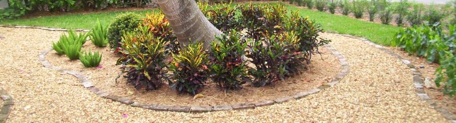 Plants